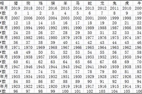 屬豬 年份|属猪的年份表 属猪的年份表及年龄